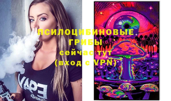 экстази Краснослободск
