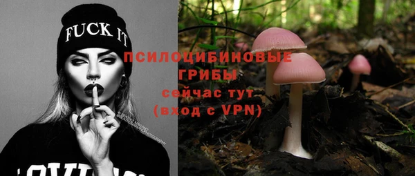 эйфоретик Краснотурьинск