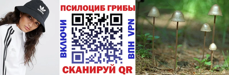 Галлюциногенные грибы мухоморы  Купить  Узловая 